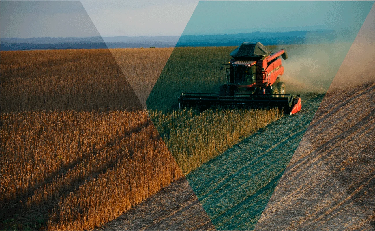 Combine harvester working a grain field